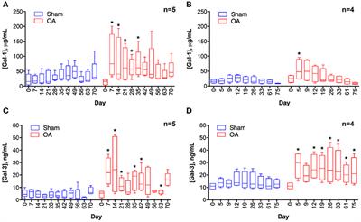 Galectins-1 and-3 Increase in Equine Post-traumatic Osteoarthritis